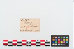 Etiketten zu Perlenkette (NHMW-PRAE-023967)
